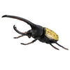 Pulse DE Figure Insect Fixture Set of 20 pieces03