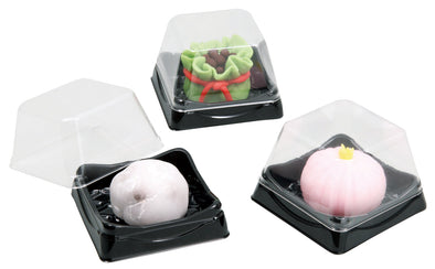 Transparent work case (set of 10)01
