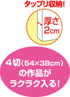New artwork storage case, extra large, plain white03