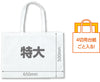Work back made of non-woven fabric, extra large, light blue05