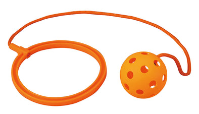Colorful skip orange01