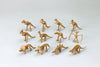 Contains 12 dinosaur skeleton figures02
