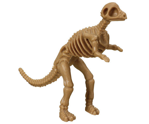 Contains 12 dinosaur skeleton figures04