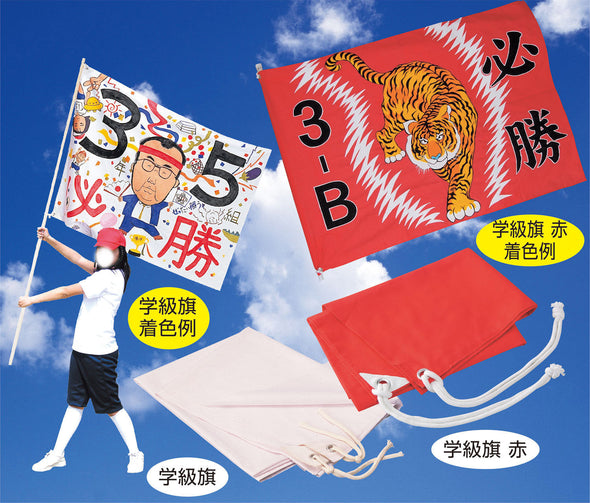 Pole for class flag01