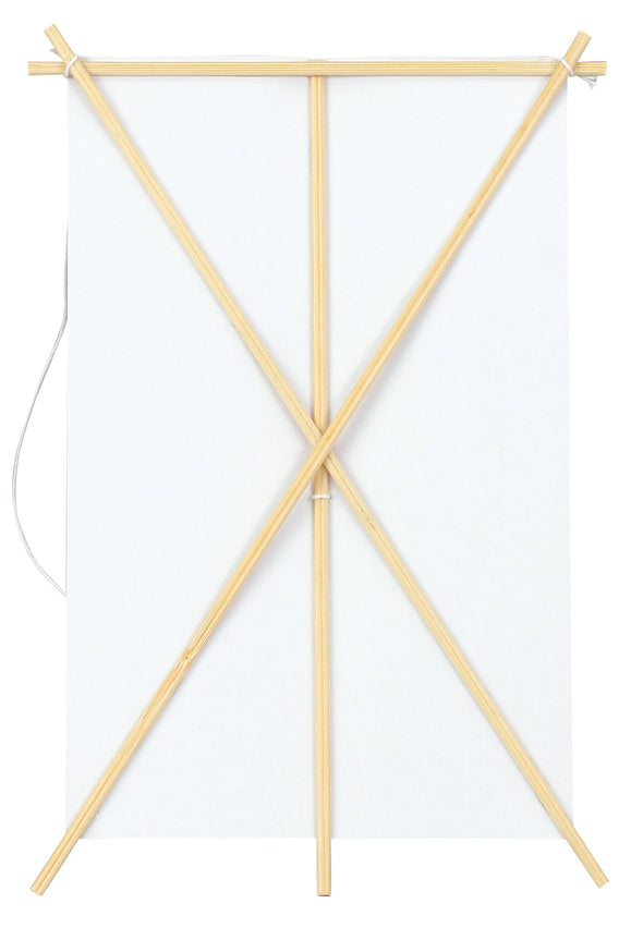 Mini kite plain03