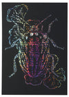 Hologram scratch board 190×265mm01