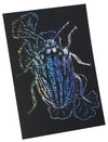 Hologram scratch board 190×265mm01