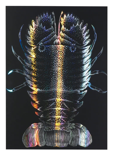Hologram scratch board II 190×265mm01