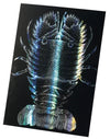 Hologram scratch board II 190×265mm01