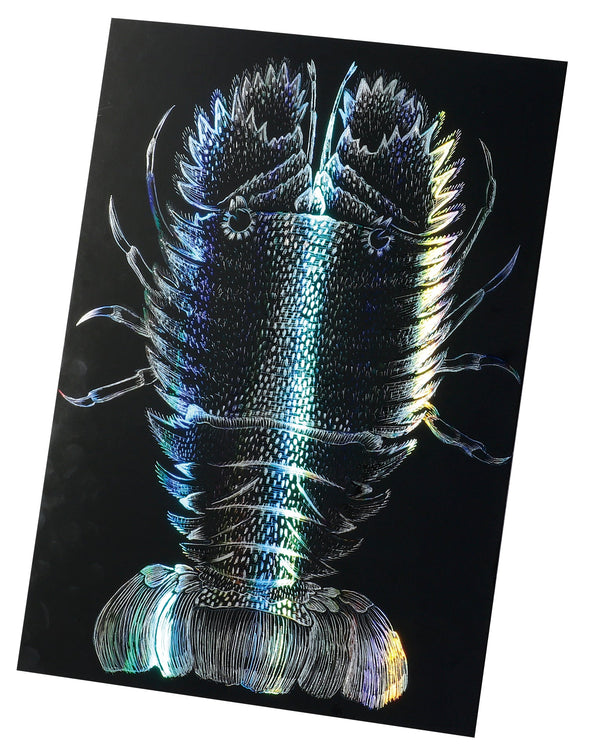 Hologram scratch board II 190×265mm01