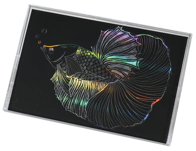 Hologram Scratch Board II with folding case01