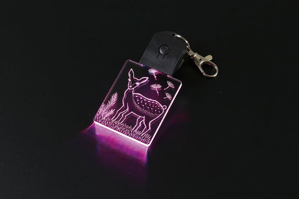 Acrylic light key holder corner01