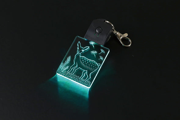 Acrylic light key holder corner08