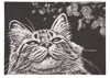 Scratch board frameless paper01