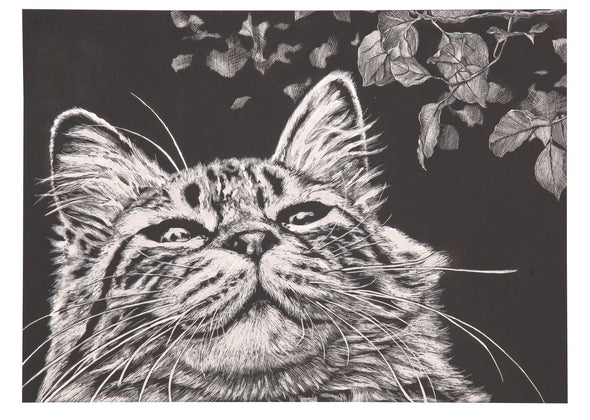 Scratch board frameless paper01