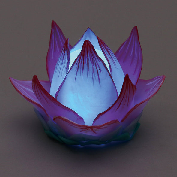 Fancy Clay Honwaka Light Set05