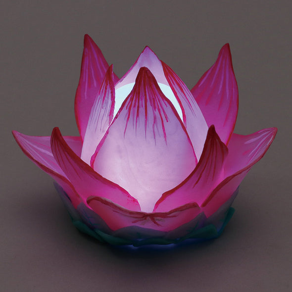 Fancy Clay Honwaka Light Set07