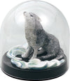 Transparent dome mini01
