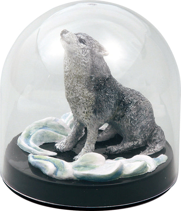 Transparent dome mini01