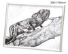 Pointillism frame with pen 200x150mm01