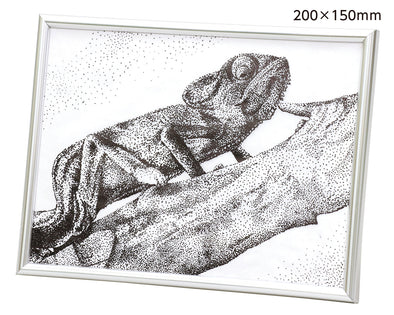 Pointillism frame with pen 200x150mm01
