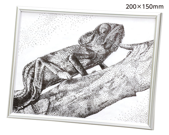 Pointillism frame with pen 200x150mm01