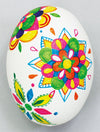 Design egg set of 10 PP01