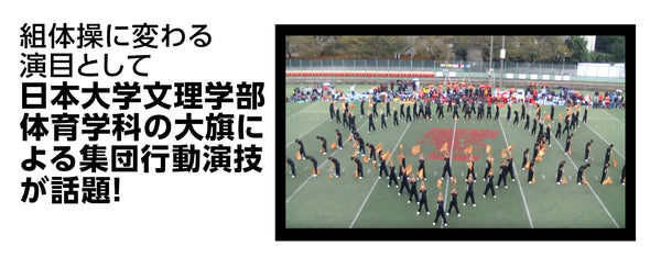Satin Big Flag Gold φ9mm02