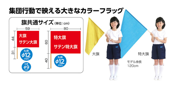 Satin Big Flag Silver φ12mm01
