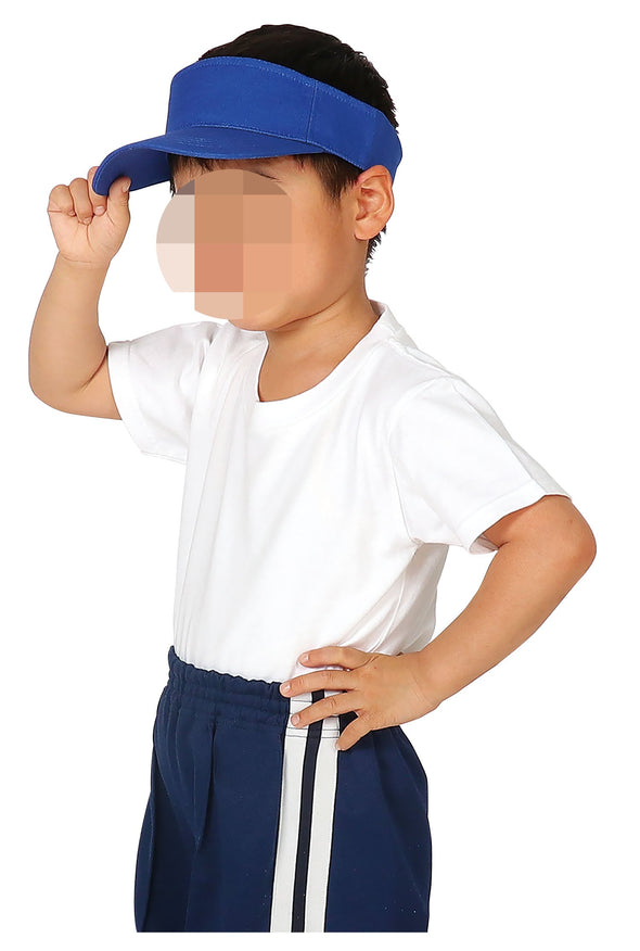 Color sunvisor blue01