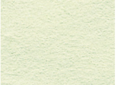 New color 8 slices 100 pieces 133 melon01