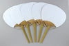 Fan white (bamboo) set of 501