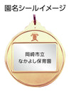 Medal 'Victory' Gold03