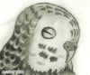 Dry point set01