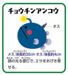 Inflatable Sea Creature Balance Game03