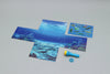 Let's go to the sea world! Projector and seal included02