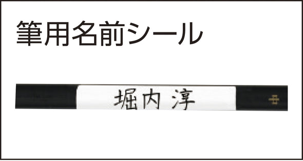 Nylon hexagonal black shaft design brush set of 302