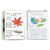 Transparent bulletin board holder A401