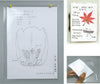 Transparent bulletin board holder A401