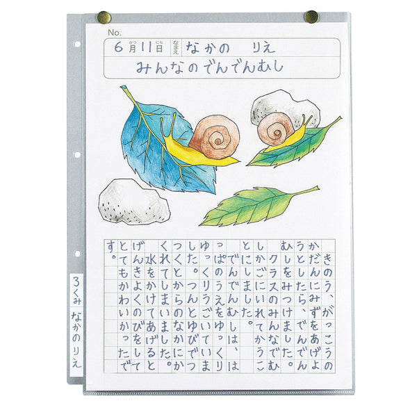 Transparent bulletin board holder A403