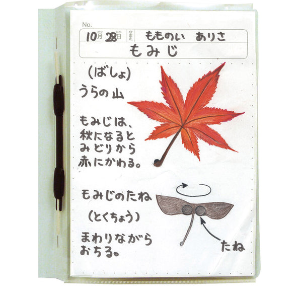 Transparent bulletin board holder A404