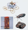 Copper plate 0.1x365x1200mm01