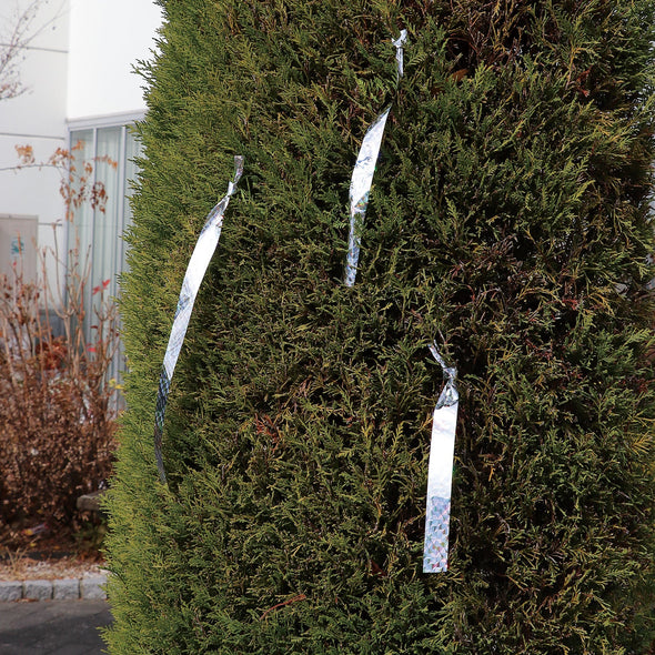 Glitter tape for bird prevention (50m)02