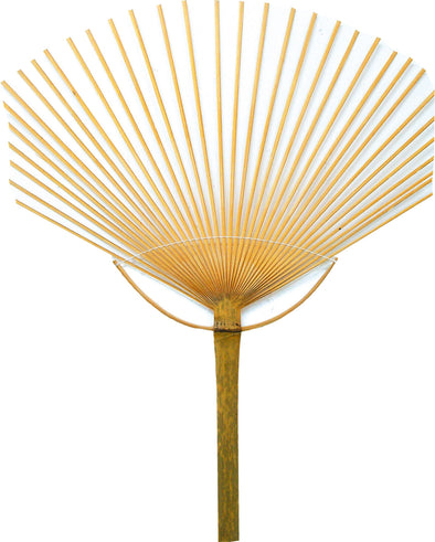 Fan bone only A (made of bamboo)01