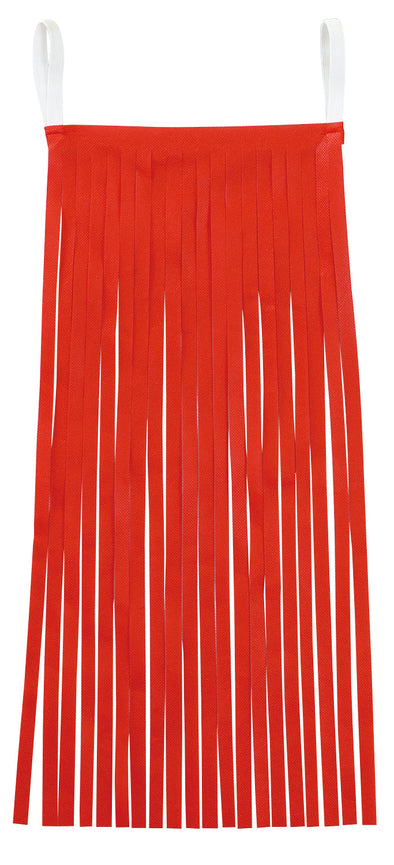 Colorful fringe red01