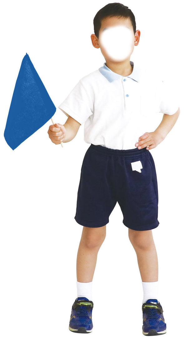 Colorful mini flag blue01