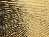 1000 toothpicks05