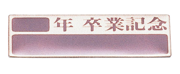 Graduation commemorative plates (set of 10) made of aluminum01