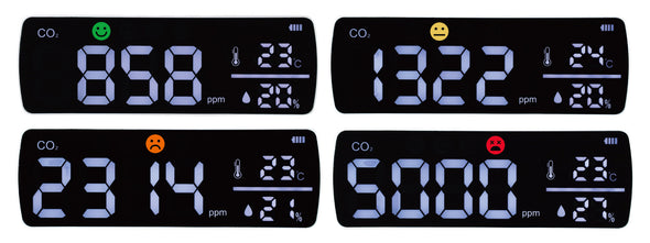 Large CO2 monitor (NDIR method)01