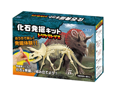 Fossil excavation kit Triceratops01